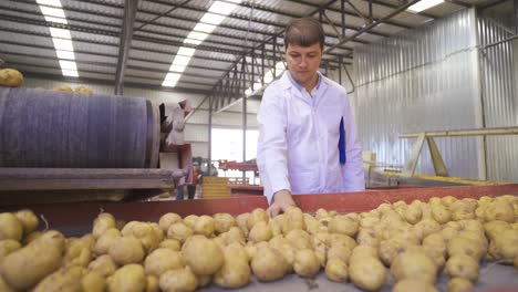 Landwirtschaftliche-Produktion.-Agronom-überwacht-Die-Kartoffelernte.